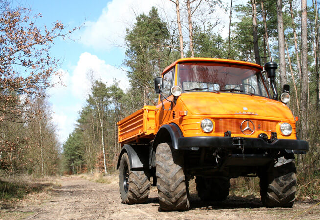 truck in the woods