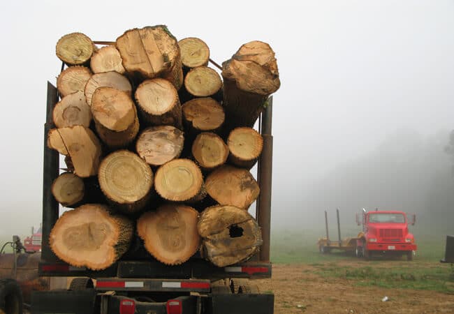 log-truck