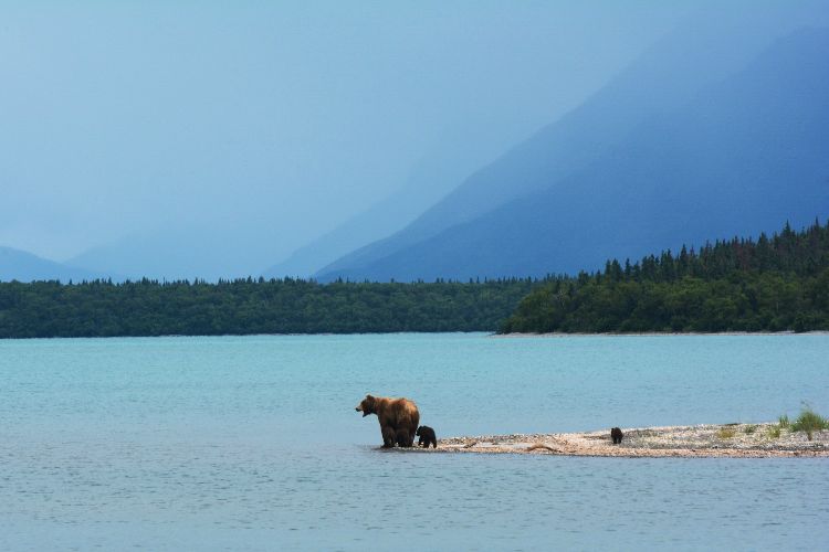 naknek lake alaska