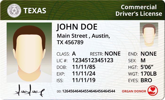 cdl license example